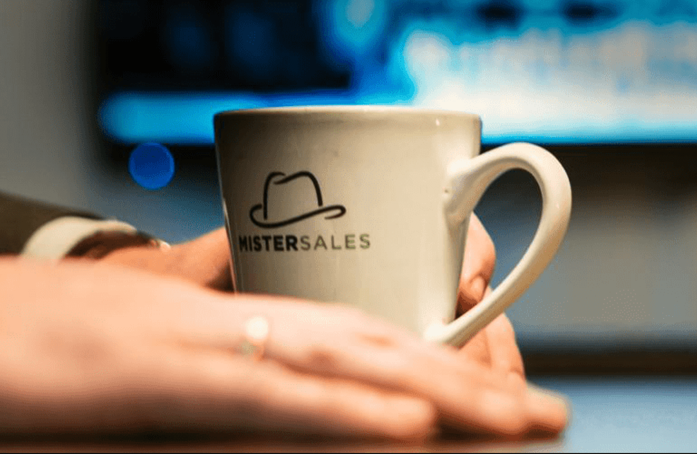 Mistersales case Succesfactor