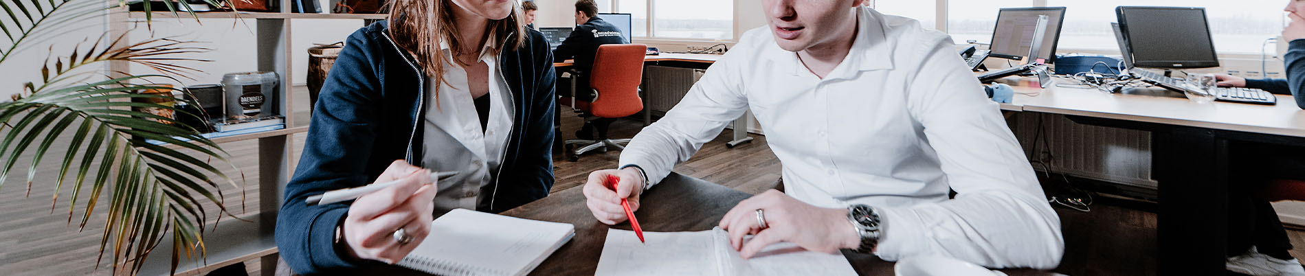 Online marketing advies - Succesfactor